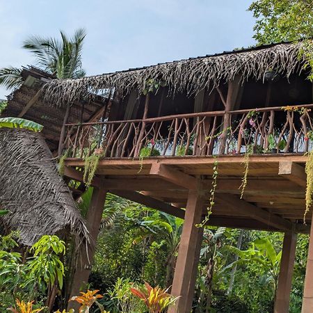 Sigiriya Rock View Tree House Villa Bagian luar foto