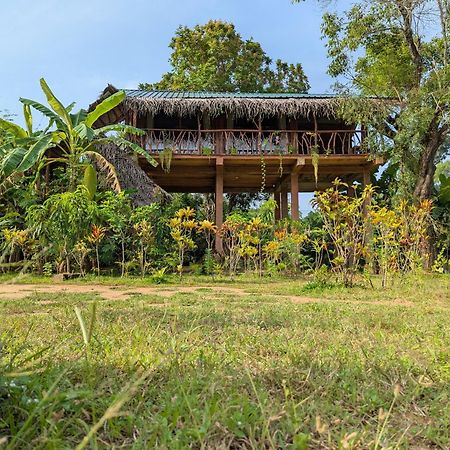 Sigiriya Rock View Tree House Villa Bagian luar foto