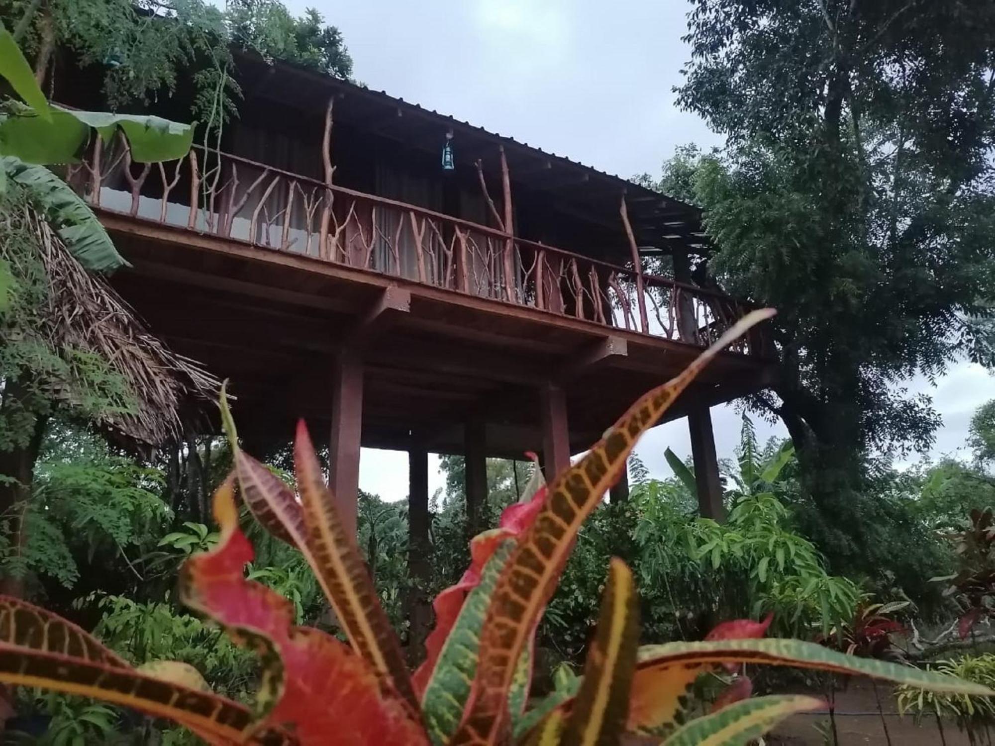 Sigiriya Rock View Tree House Villa Bagian luar foto
