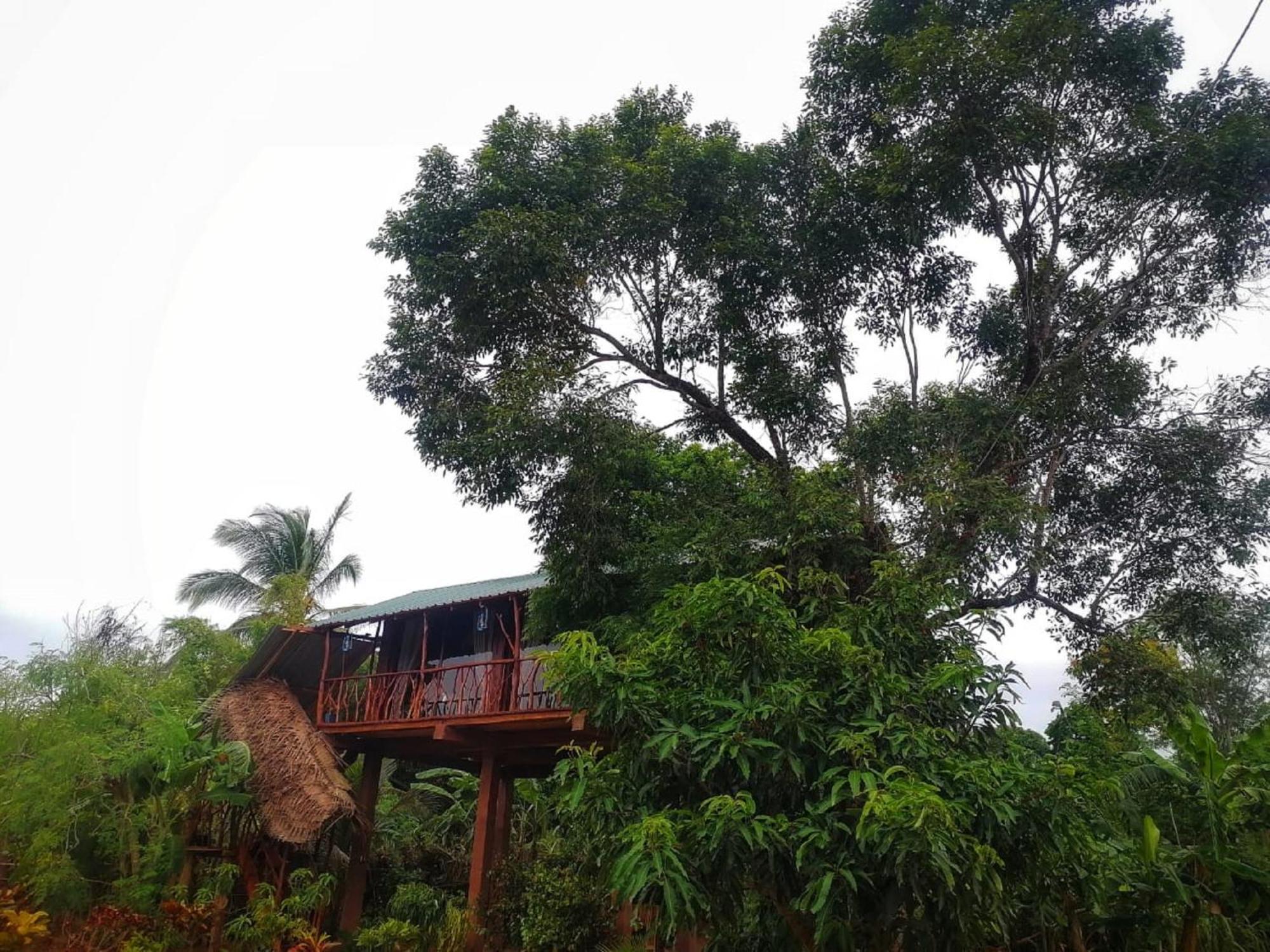 Sigiriya Rock View Tree House Villa Bagian luar foto