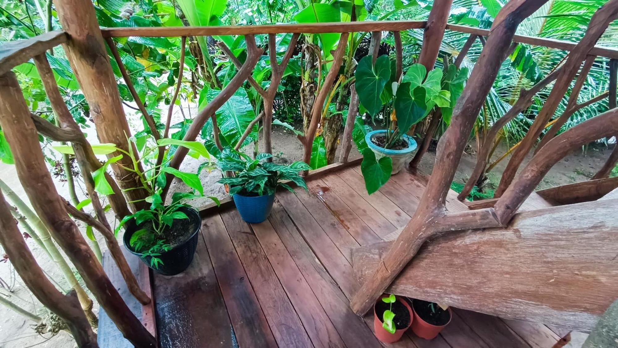 Sigiriya Rock View Tree House Villa Bagian luar foto