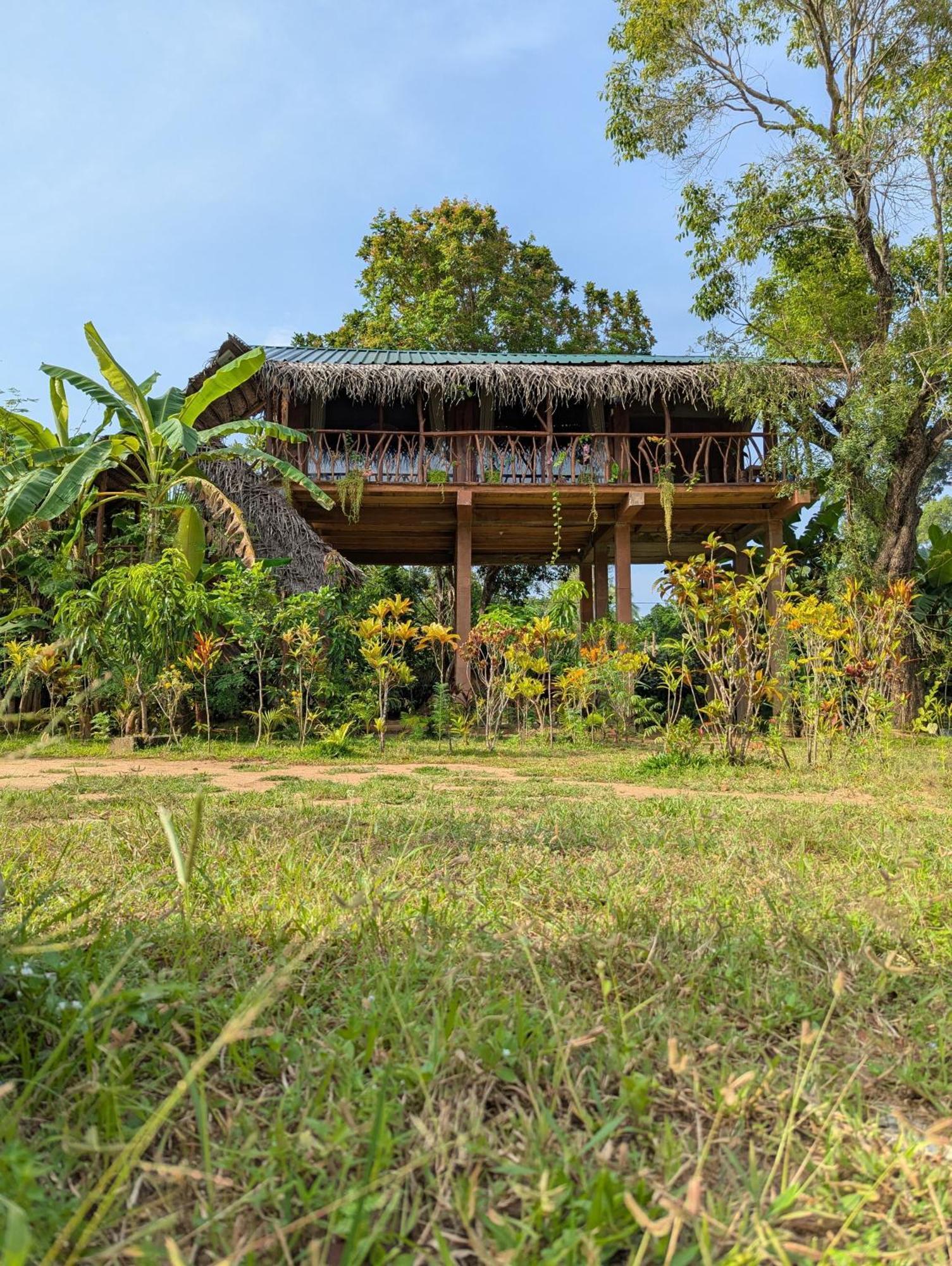 Sigiriya Rock View Tree House Villa Bagian luar foto